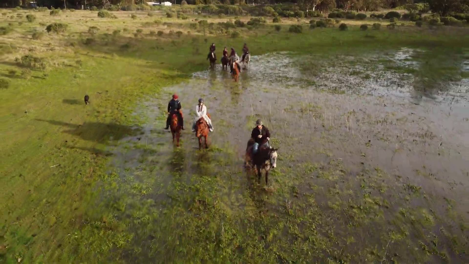 Cabalgata en la Laguna