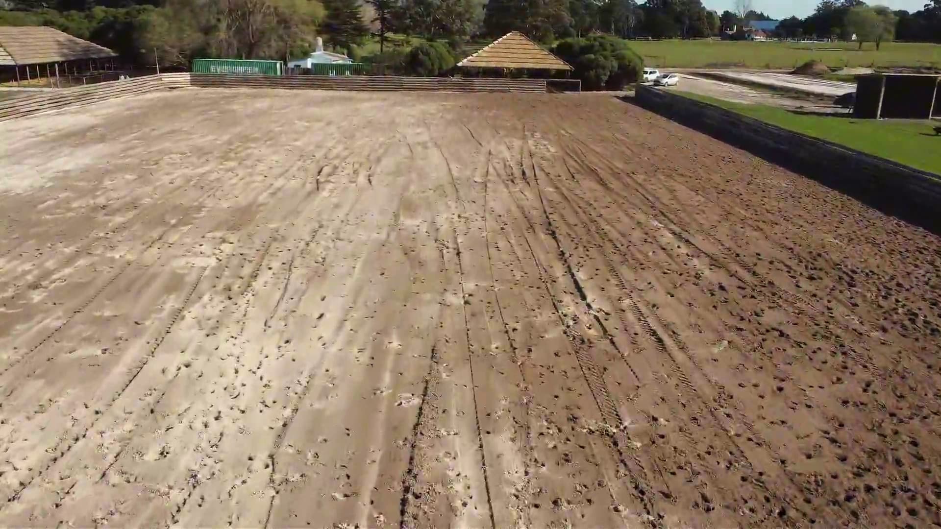 Evolución y adiestramiento en pista