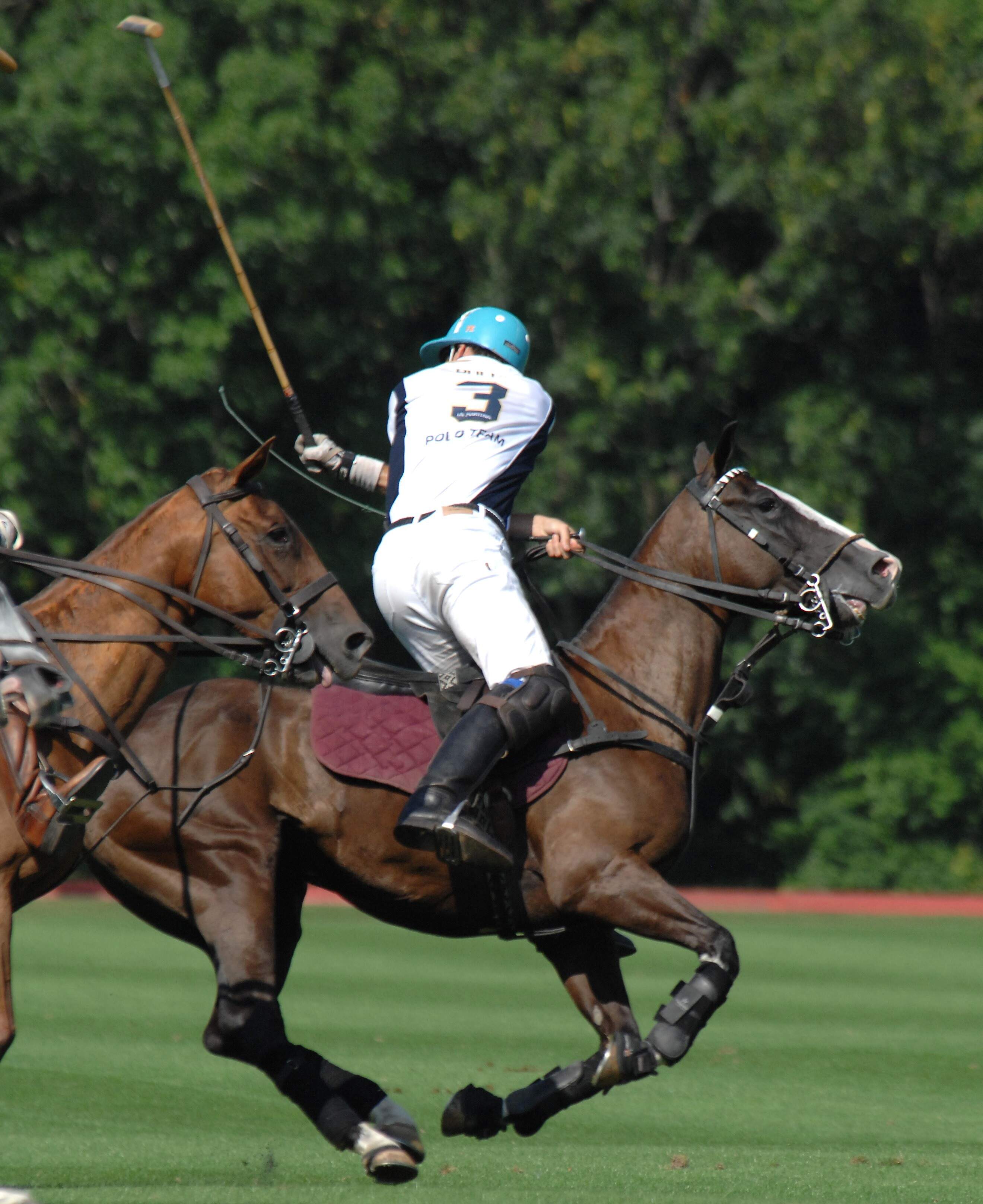 Polo Day Experiencia