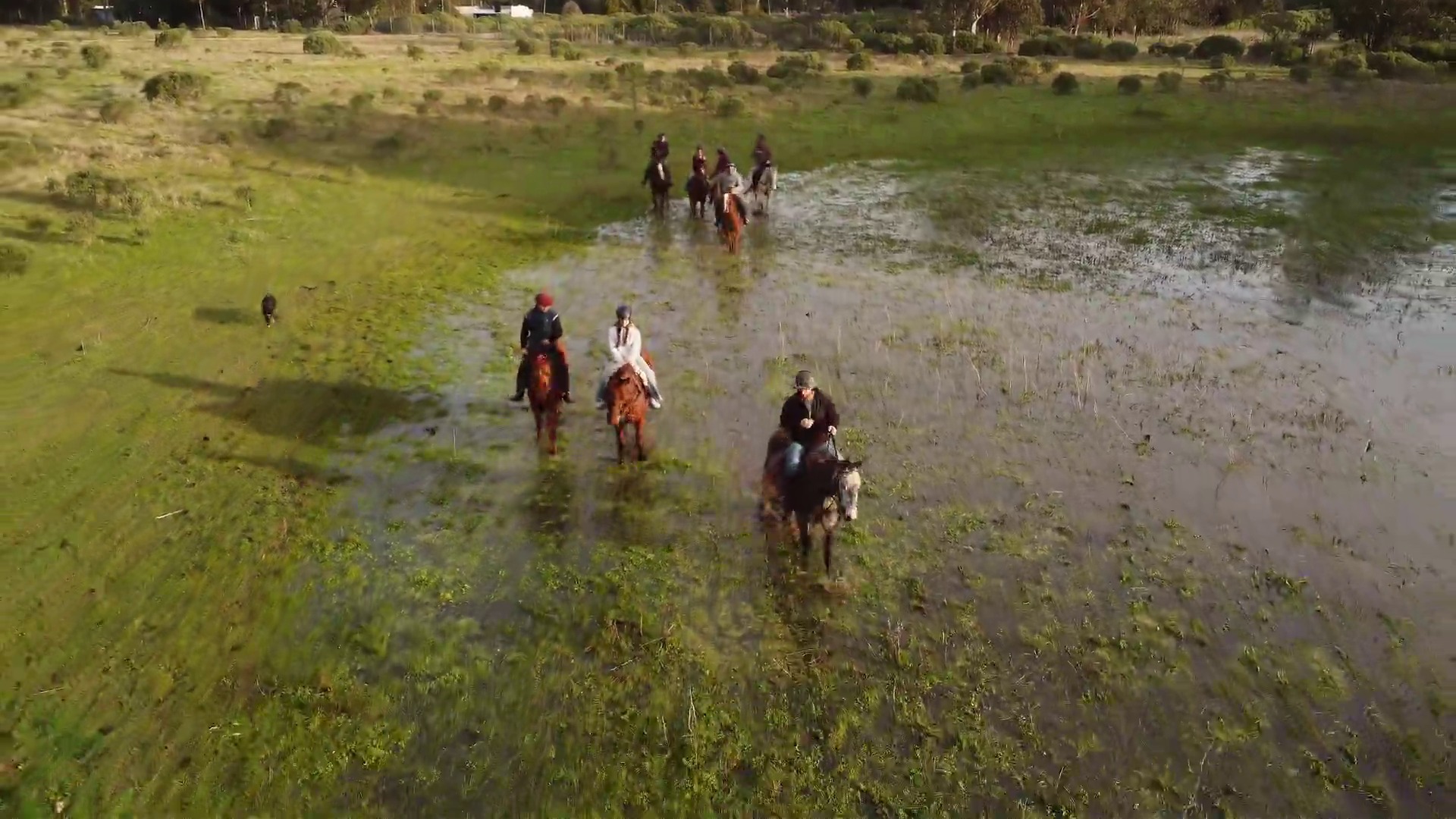 Cabalgata en Laguna
